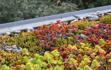 the cost of Abbots Bromley green roof installation